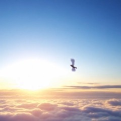 Fly away