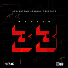 Wayneo - 33 (Scottie Pippen)