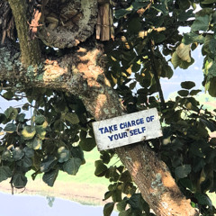 Wave to blue 20 11 2025 - Free words, free waves