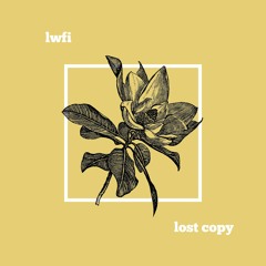 lwfi - Secret Pattern