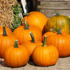 When Life Gives You Pumpkins