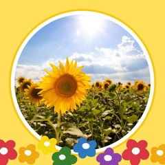 Una giornata di sole