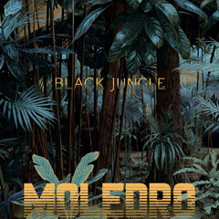Black Jungle (Moledro)