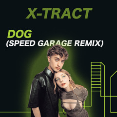 dog (piri Speed Garage remix)