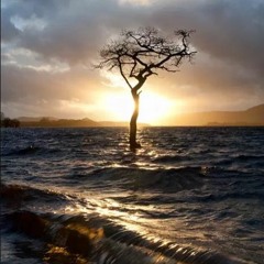 Get to sleep you restless cunt ( A collaboration with Jamie G )