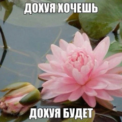 шхмтф-я хотел бы