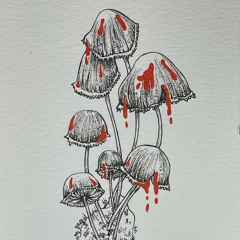 mycena haematopus (liquid dnb)