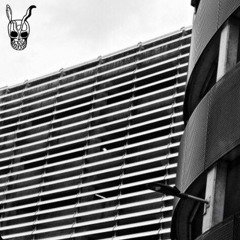 CHAMBA - Wasabi Funk [MadWorld] Free Download