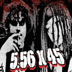 GNXRLYBXSTXRD x Snakeslutz 5.56x45