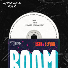 Boom - Tiesto (LIZALDE MOOMBAH RMX)