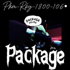Package Ft.Mg22