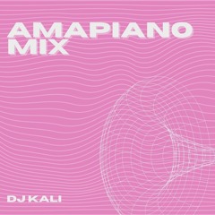 AMAPIANO MIX | DJ KALI 2022 (ft. Big Flexa, Danko, Umama Akekho + more)