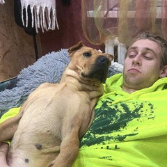 догер бой (тгк: @nickdobru)