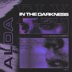 PREMIERE - Alda - Fly in the Darkness (Dogs & Vultures Records)
