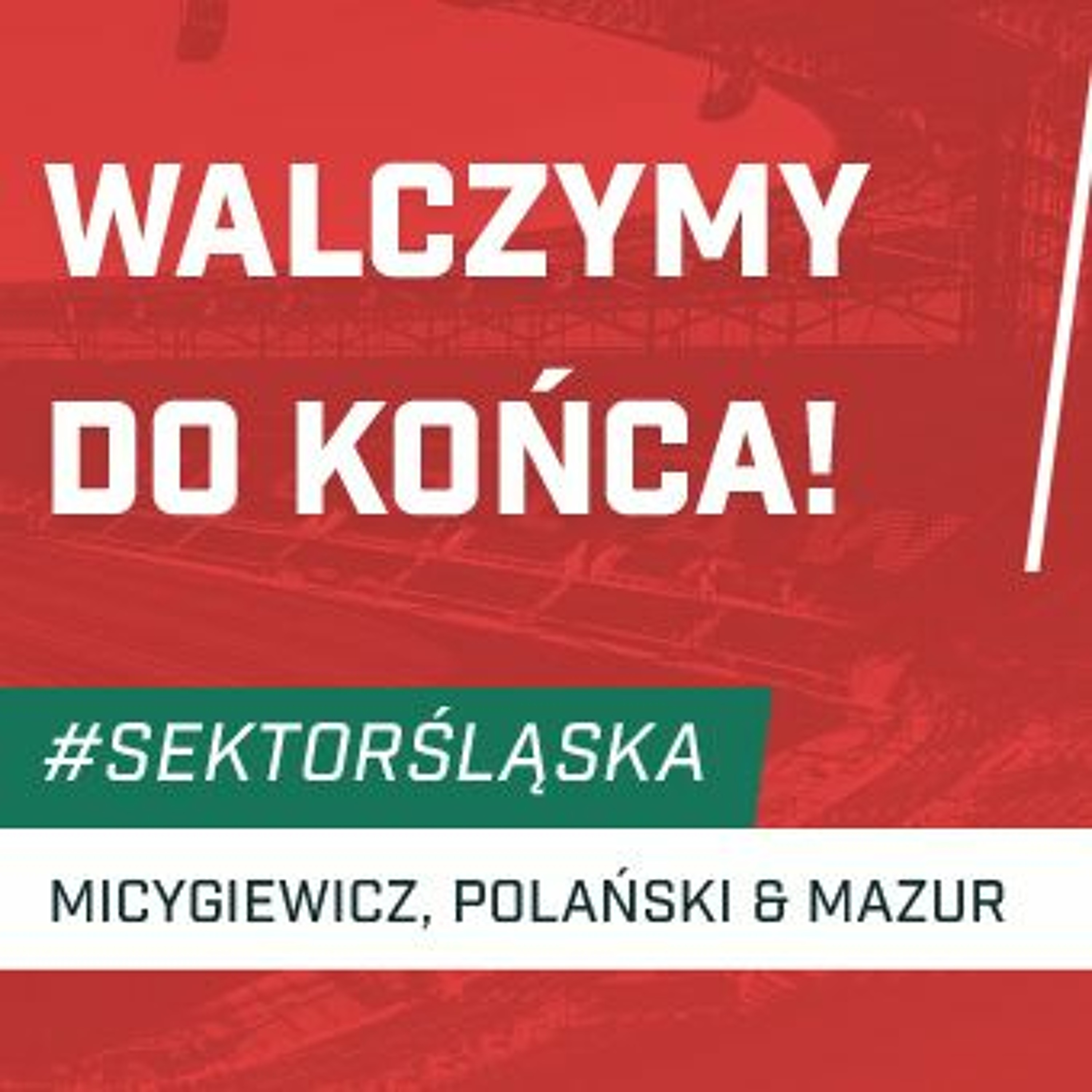 Śląsknet