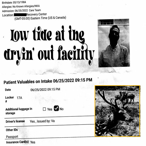 Lil Ugly Mane - low tide at the dryin' out facility
