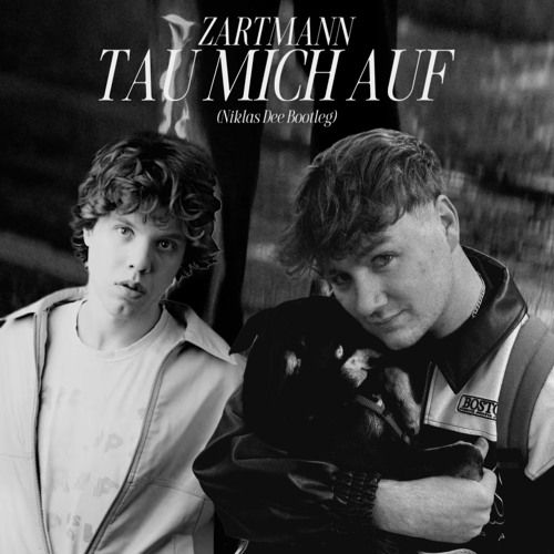 Zartmann - tau mich auf (Niklas Dee Bootleg)