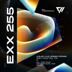 Wish I Could Tell You (Muhammed Felfel Remix)