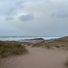 Turning The Tide - Dune Rising