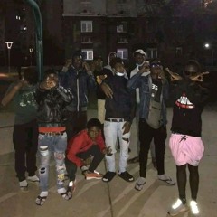 NGC Lacost -Jacaré nervoso