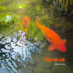 Reverie