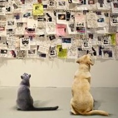 Cats&Dogs