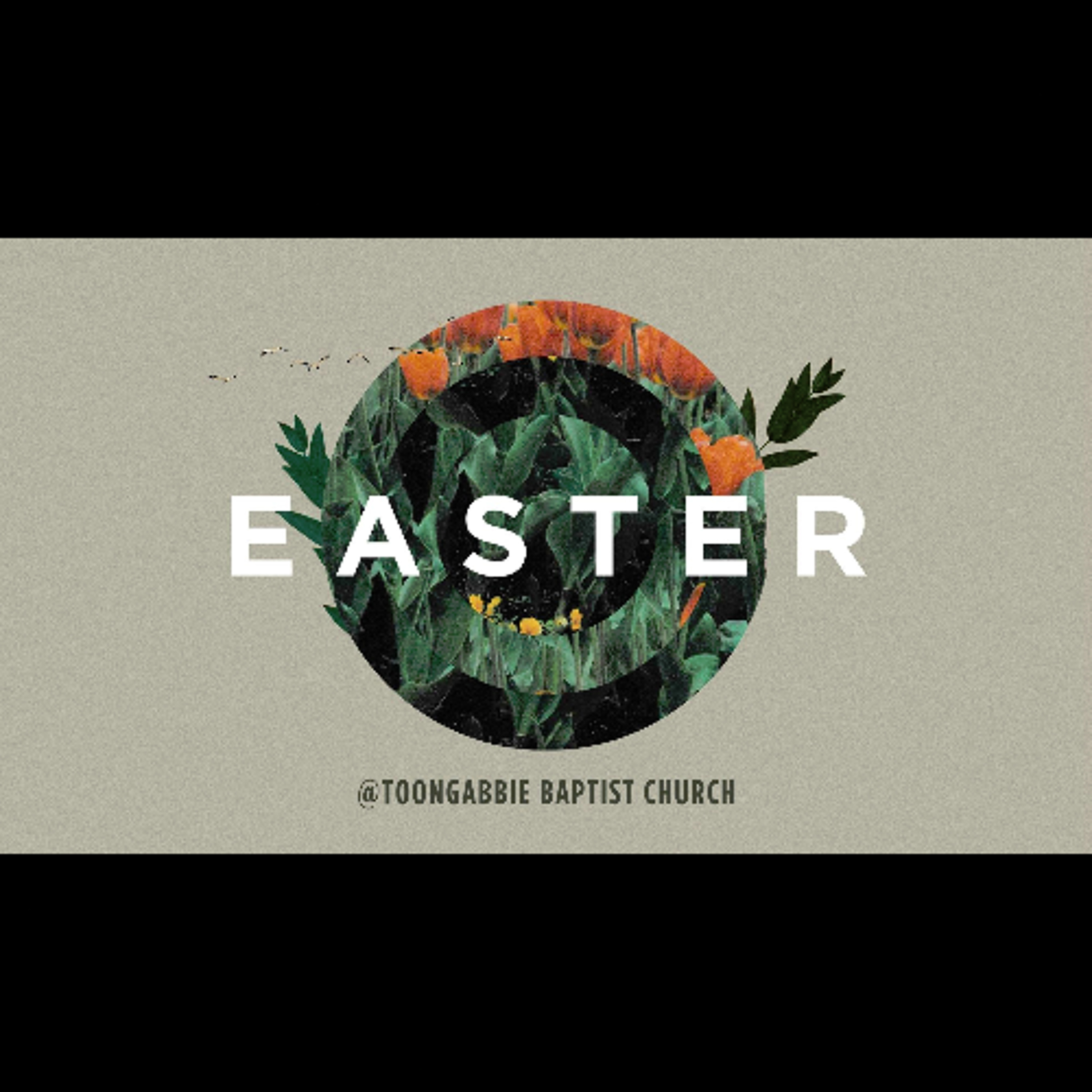 Easter Sunday: Death to Life (John 11:1-27) episode artwork