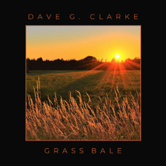 Grass bale
