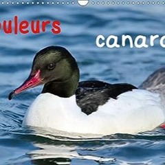 ⏳ DOWNLOAD PDF couleurs canards (Calendrier mural 2021 DIN A3 horizontal) Full Online