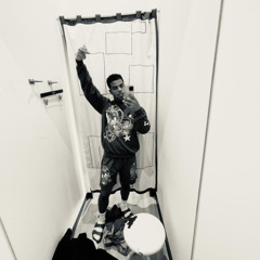 Showjoe - Crashed The Party