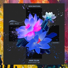 PREMIERE: Amir Telem — New Emotions [ebb + flow]