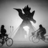 ༺ ༀ The Tale Of The PlayaFairy ༀ ༻ And Her Burning Man Escapades DJ mix artwork - Electronic music tracklist cover image