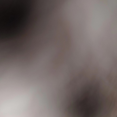 Misunderstands Behavior