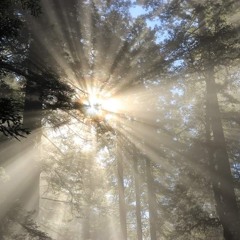 راح خبي شـ☀️سي بعيــونك