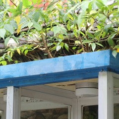 여름 숲 Summer forest, expressed through piano