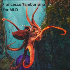 Francesco Tamburrano for MLD