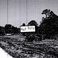 golf cart parking at the death camp gift shop