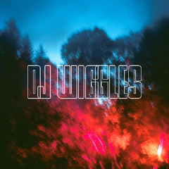 Dj wiggles - Hybrida Fest 2025