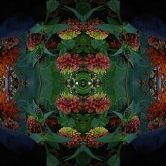 fractal zoom