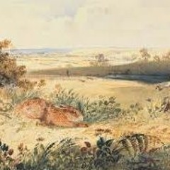 Following The Hare (Demo)