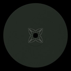 REC° - swarm [001]