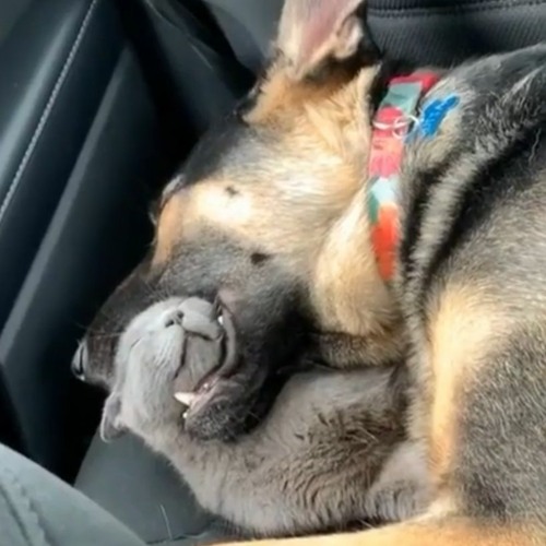 january twenty eight