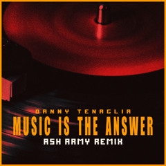 Danny Tenaglia - Music Is The Answer (Ash Army Remix) | Melodic Techno Magic