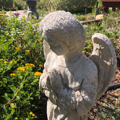 A Walk in the Garden