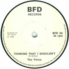 THE FENCE - Thinking That I Shouldn't