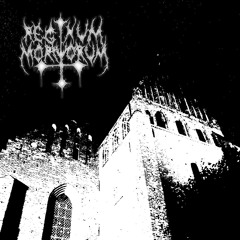 The Realm Of The Dead