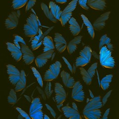 Dreams and distant echoes