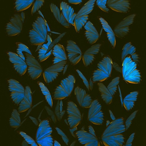 Fragments of you