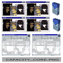 CAPACITY MIX (没)