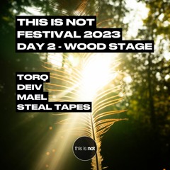 Day 2 _ Wood Stage